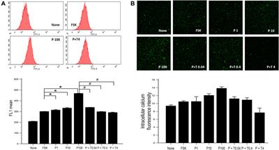 TMI-1, TNF-α-Converting Enzyme Inhibitor, Protects Against Paclitaxel-Induced Neurotoxicity in the DRG Neuronal Cells In Vitro